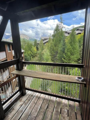 Le Seignus d'Allos T2 30m2. Aux pieds des pistes.